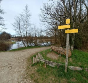 Etangs de Crosagny depuis le plan d'eau de Rumilly - Rumilly - 2