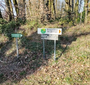 Sevremont par les pépinières du bocage - Aurelien - 4
