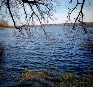 Étang des Landes - Michel - 3