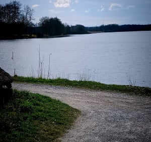 Étang des Landes - Michel - 5