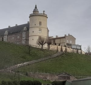 Entre Loire et maraîchage sous le château de Bouthéon - Veauche - 2