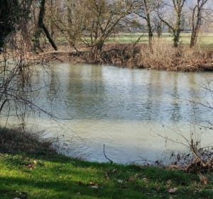 Montbéliard  : boucle des miches et du pré la rose - Montbéliard - 5