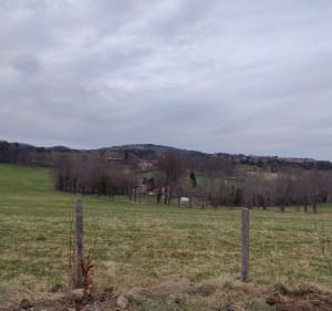 Entre forêt et champs à Saulzet-le Chaud - Ceyrat - 2