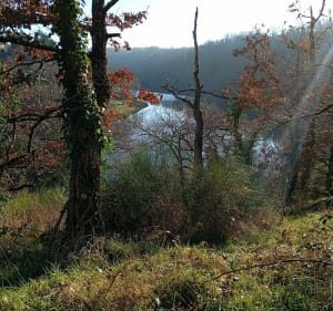Boucle Villebretoise et Moulin de Tiauleroux - Villebret - 2