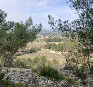 Autour de Lagnes - Aline - 3