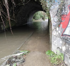 Tour du barrage Papon et de La Roche-sur-Yon - La Roche-sur-Yon - 2