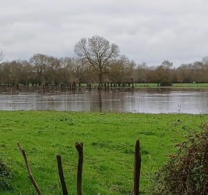 Briollay entre Sarthe et Loir - Bertrand - 3