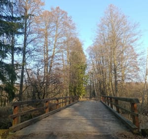 Pieszy szlak przez Cieliczankę - Pałatki - 2