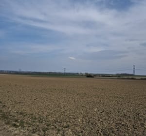 Rando autour du village de Novy-Chevrières - Thierry - 2