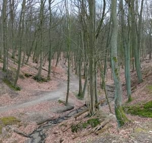 Spacer w Policach Zachodniopomorskie - Puszcza Wkrzańska - Krzysztof  - 2