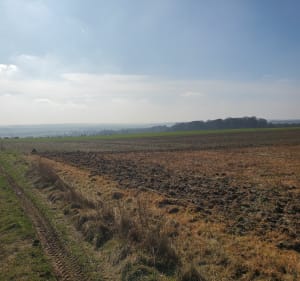 A travers la plaine et le bois d'Habarcq - Haute-Avesnes - 2
