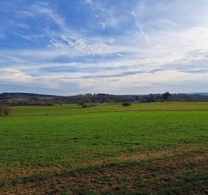 Circuit des Puys - Moissannes - 2