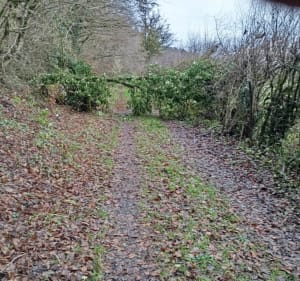 Randonnée à  Bourogne - Bourogne - 2