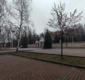 Winnica w Libiążu i park Skarbnika - Libiąż - 2