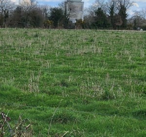 Treillières par la voie verte et les coteaux du Gesvres - Treillières - 2