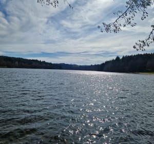 Boucle au Lac d'Aubusson - Vollore-Ville - 2