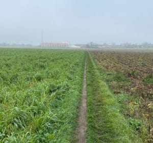 Boucle de la Fraude du tabac - Mont d’Halluin - Halluin - 2