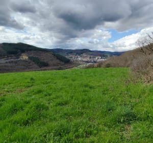 Tarare : boucle mi urbaine, mi forêt, par les Grandes Combes - Tarare - 2