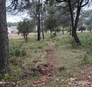Tour de Plan d'Ailas à Teyran - Teyran - 2