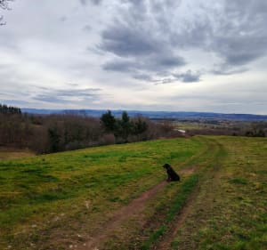 Vue panoramique sur les montagnes du puy de Dôme au Cézallier - Sandrine - 4