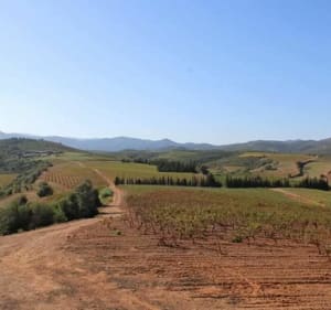 La Table Étoilé, par Puig Rabol - Fourques - 2