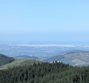 Sur les crêtes et dans les bois autour de la Valla - La Valla-en-Gier - 2