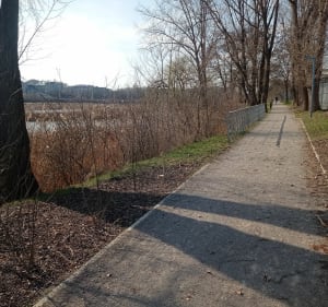 Spacer dokoła Stawu Plaszowskiego - Kraków - 2