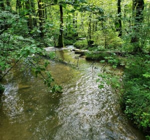 Boucle de la Cascade du Hérisson - Menétrux-en-Joux - 2