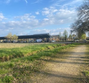 Marche au départ de Labrit - Labrit - 2