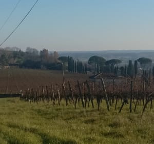 Verdelais - Verdelais - 2