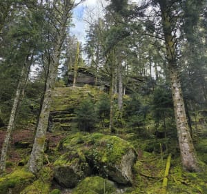 Boucle du Chalet St jean Fossard - Cleurie - 2