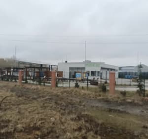 Chorzów Biegowo w stawu Kalina - Witold - 3