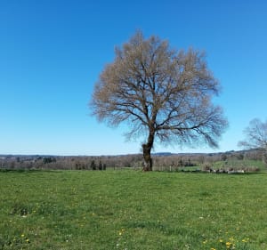 Cieux, Les Monts, la Chapelle de Vaulry, Vecheze, le Theil... - Cieux - 2