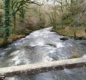 Les gorges du Stangala - Ergué-Gabéric - 4