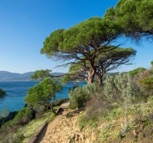 Randonnée au Cap Lardier par la Baie de Cavalaire - La Croix-Valmer - 2