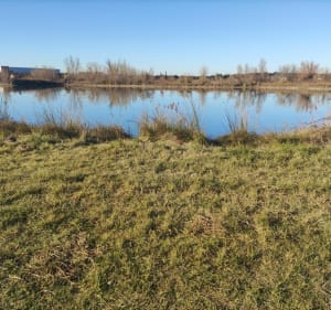 Randonnée nature à la baisse de Raillon - Saint-Martin-de-Crau - 2