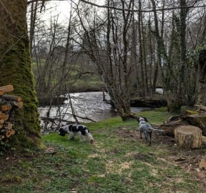 Le Puy du Thé depuis Neuvic-Entier - Neuvic-Entier - 2