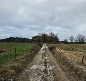 Czmoniec starorzecza - Czmoniec - 2