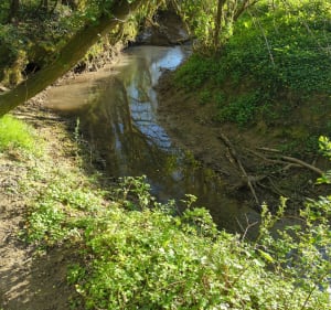 Balade Bois des 8 rue - Morbecque - 2