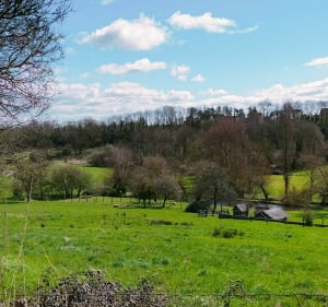 Autour des Monts d'Eraines - Versainville - 2