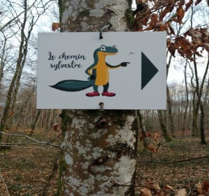 Chemin sylvestre depuis la Belle étoile - Grandfontaine - 2
