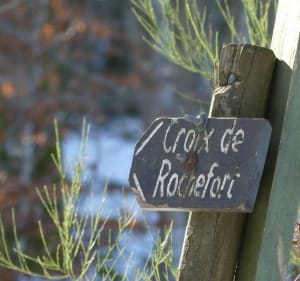 Balade dans la forêt autour de la croix de Rochefort - Deux-Grosnes - 2