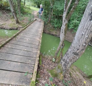 Boucle au Lac du Der - Giffaumont-Champaubert - 2