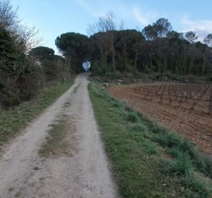 Boucle Domaine Lafoux - Farougères - Tourves - 2