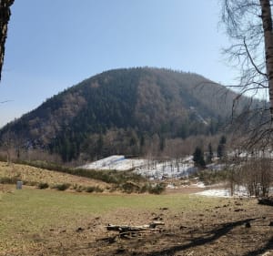 Pętla Wałbrzych Gł.-Przełęcz Szypka-Przełęcz Kozia-Wałbrzych - Wałbrzych - 3
