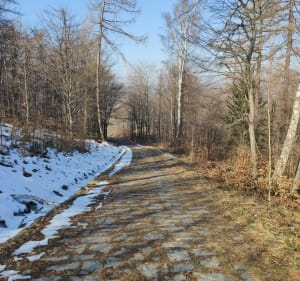 Pętla Wałbrzych Gł.-Przełęcz Szypka-Przełęcz Kozia-Wałbrzych - Wałbrzych - 5