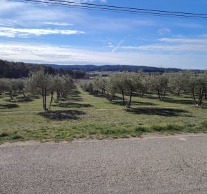 Balade du dimanche matin autour de Célony - Aix-en-Provence - 2