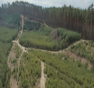 Przez Suche wierchy na kopalnię piasku - Mielec - 2