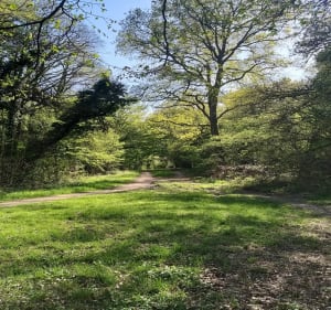 En Forêt à Clichy sous Bois - Clichy-sous-Bois - 2