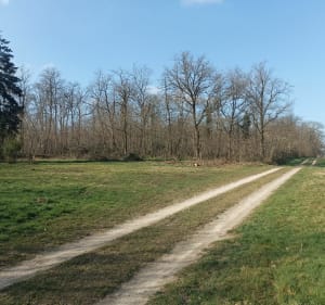 Tigy parcours poisson - Tigy - 2